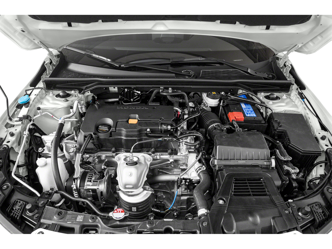 View 8
