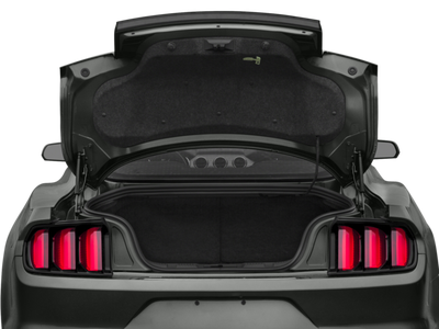 2016 Ford Mustang EcoBoost Coupe 2D