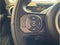 2025 INEOS Grenadier Station Wagon Sport Utility 4D