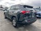 2024 Toyota RAV4 XLE Sport Utility 4D