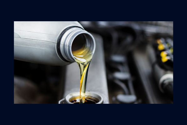 Oil & Filter Change Special